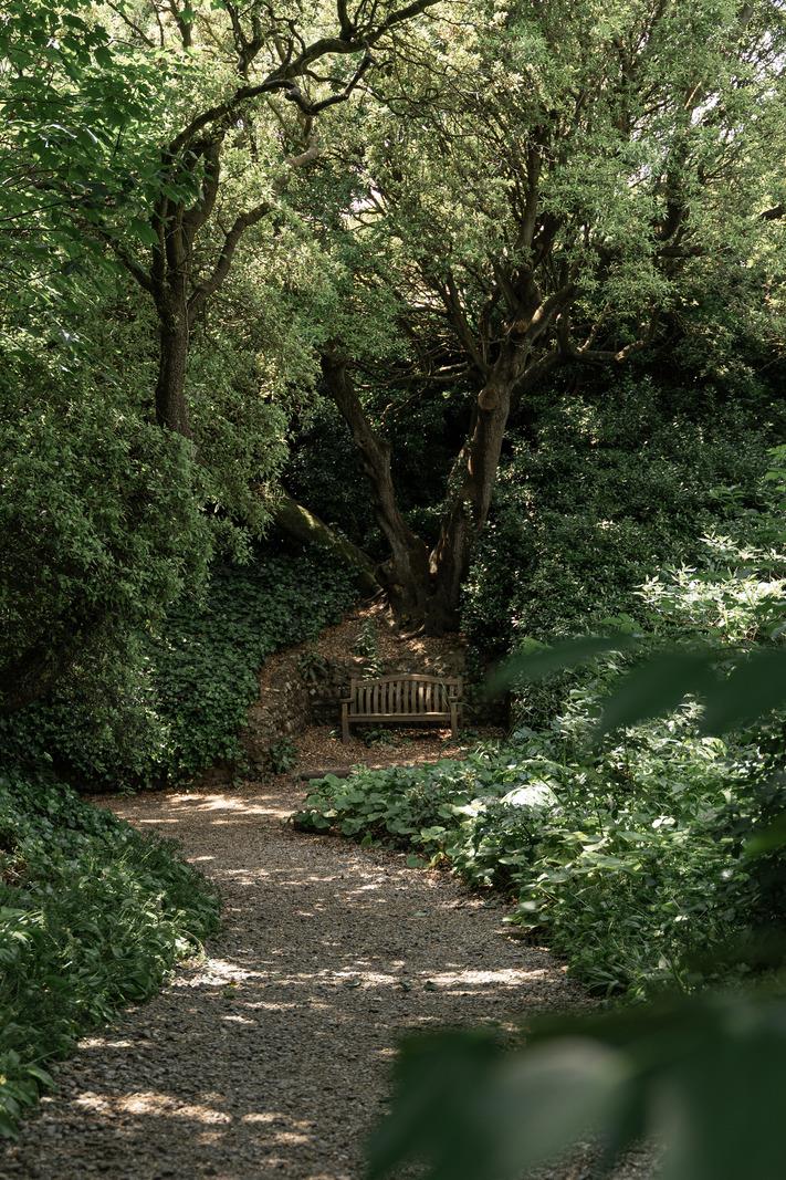 Rock Grove - Image 3